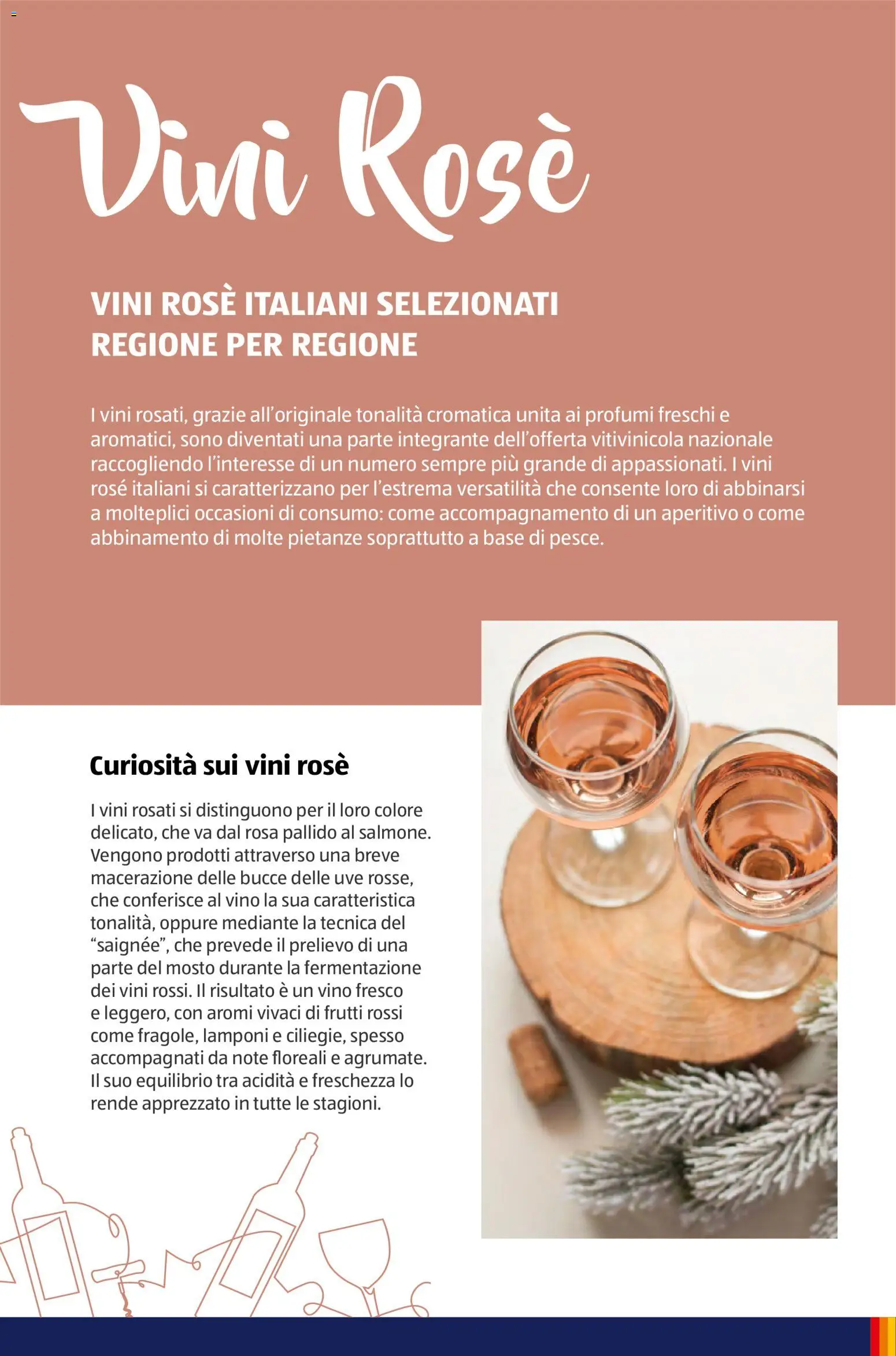 Volantino Aldi del 12/01/2026 | Pagina: 46 | Prodotti: Lamponi, Vino, Profumi, Aperitivo