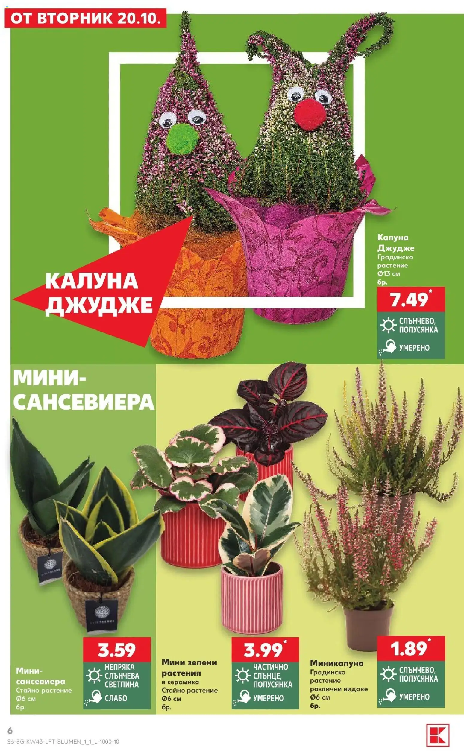 Нова Кауфланд брошура Враца - Роден вкус в Kaufland с валидност до 25.10.2026 от 19.10.2026 | Страница: 6