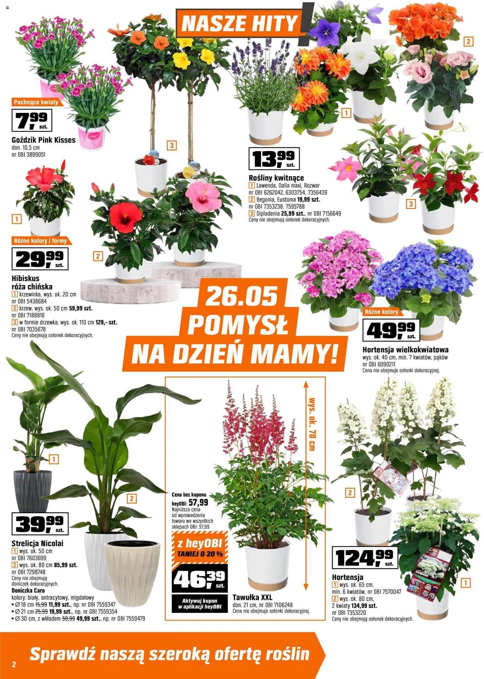 OBI gazetka od 20.05.2026 | Strona: 2 | Produkty: Goździk, Doniczka, Rosliny, Kwiaty
