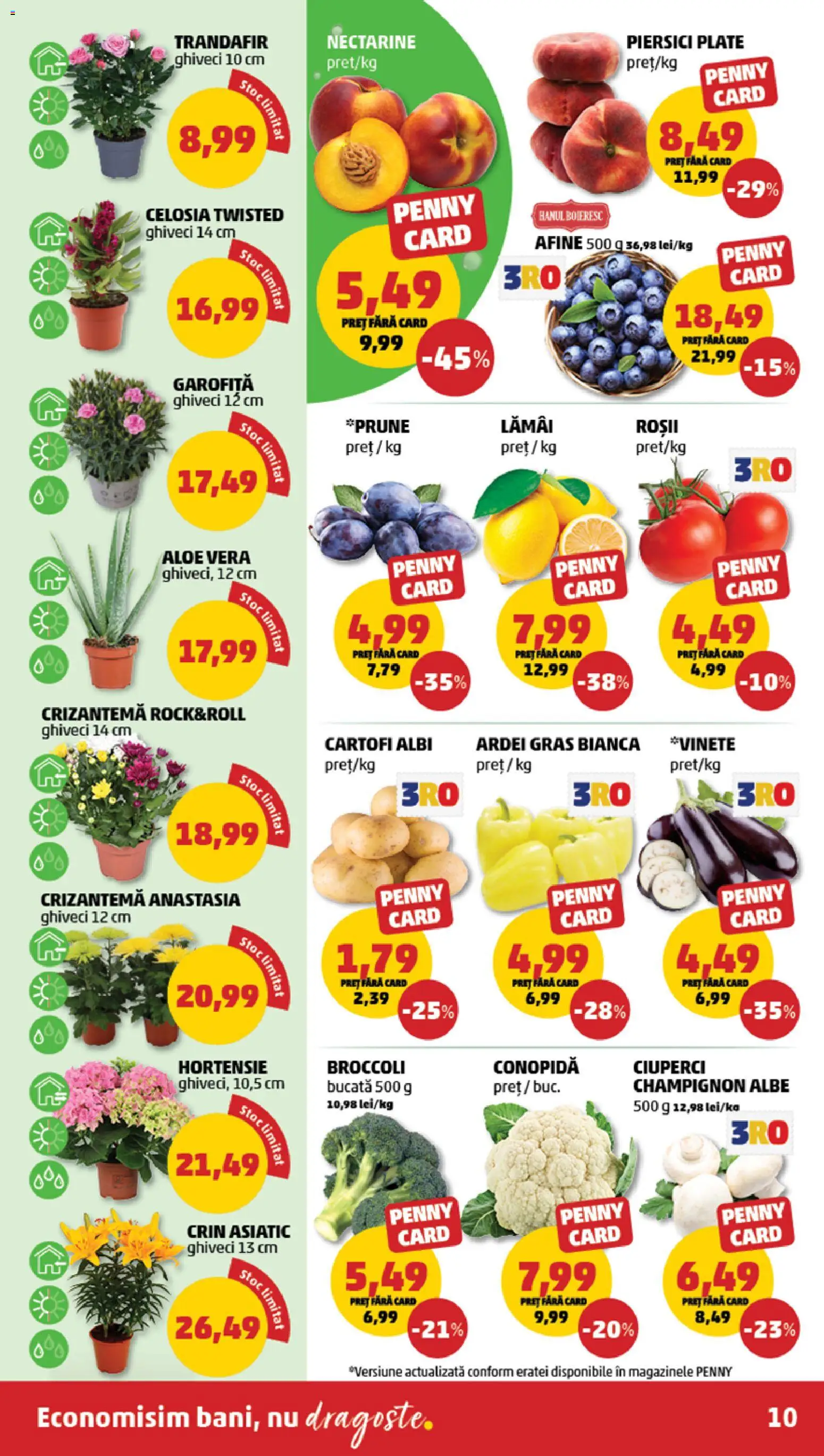 Noul catalog PENNY – valabil de la 05.08.2026 | Pagină: 10 | Produse: Afine, Temizlik kovası, Trandafir, Roșii