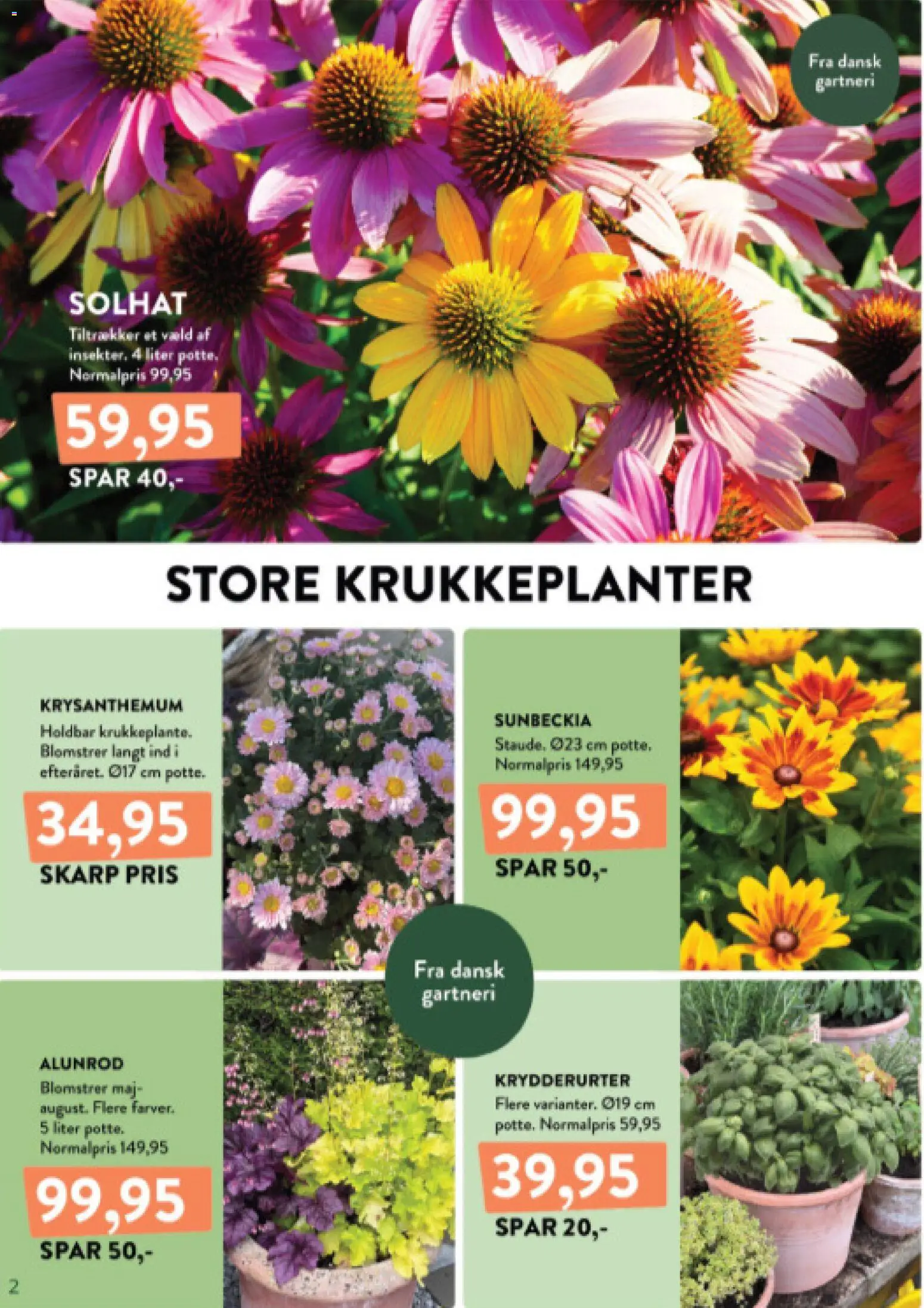 Plantorama tilbudsavis – gyldig fra 14/08/2026 | Side: 2