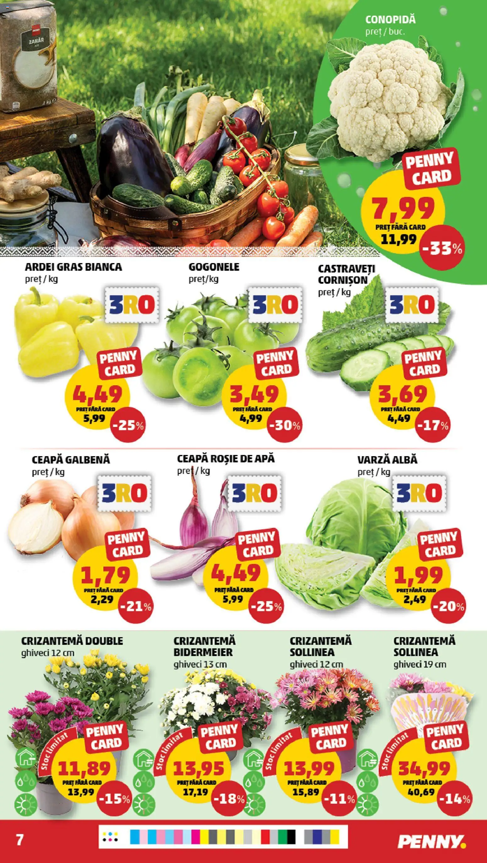 Noul catalog PENNY – valabil de la 23.09.2026 | Pagină: 7 | Produse: Varză, Ceapă galbenă, Castraveți, Ceapă
