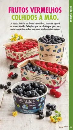 Pré-visualização Pingo Doce Fruta e Legumes válido de 30/06/2026 | Página: 29 | Produtos: Framboesas, Mirtilos