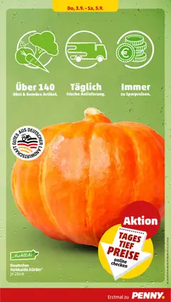 Deutscher Hokkaido Kürbis, Deutscher Hokkaido Kürbis ab 31.08.2026 gültig | Seite: 41