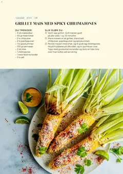 Forhåndsvisning av Rema1000 Matlyst gyldig fra 28.04.2026 | Side: 38 | Produkter: Prelungitor, Grill, Суміш дитяча, Topp