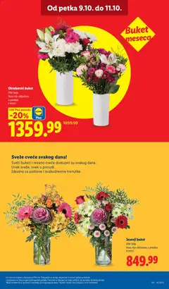 Lidl katalog - pregled Lidl kataloga - važi od 08.10.2026 | Strana: 77