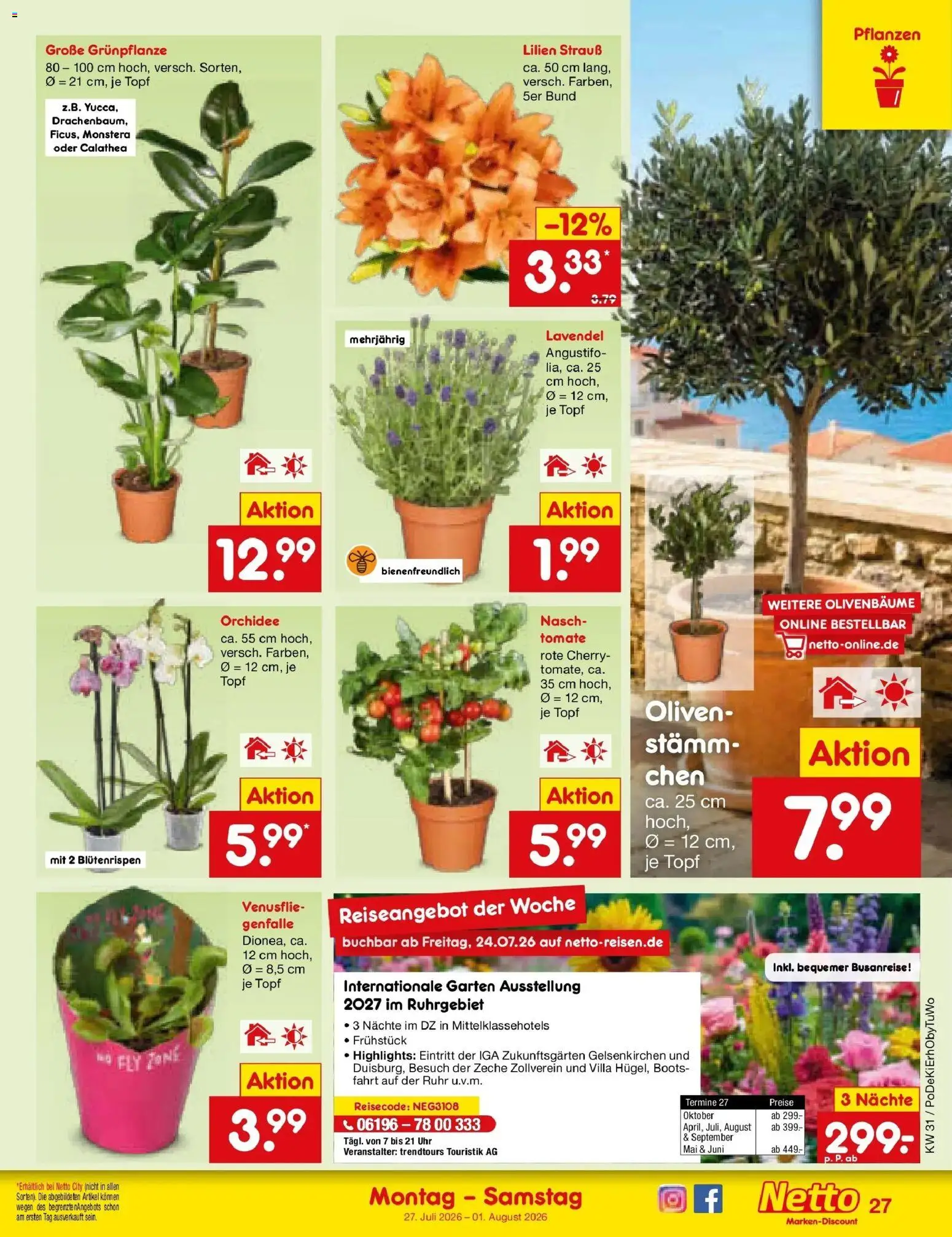 Netto Marken-Discount Prospekt Mistelbach – gültig ab 27.07.2026 | Seite: 42 | Produkte: Orchidee, Lavendel, Uhr