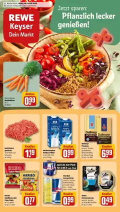 Rewe Prospekt Radebeul ab 24.08.2026 gültig