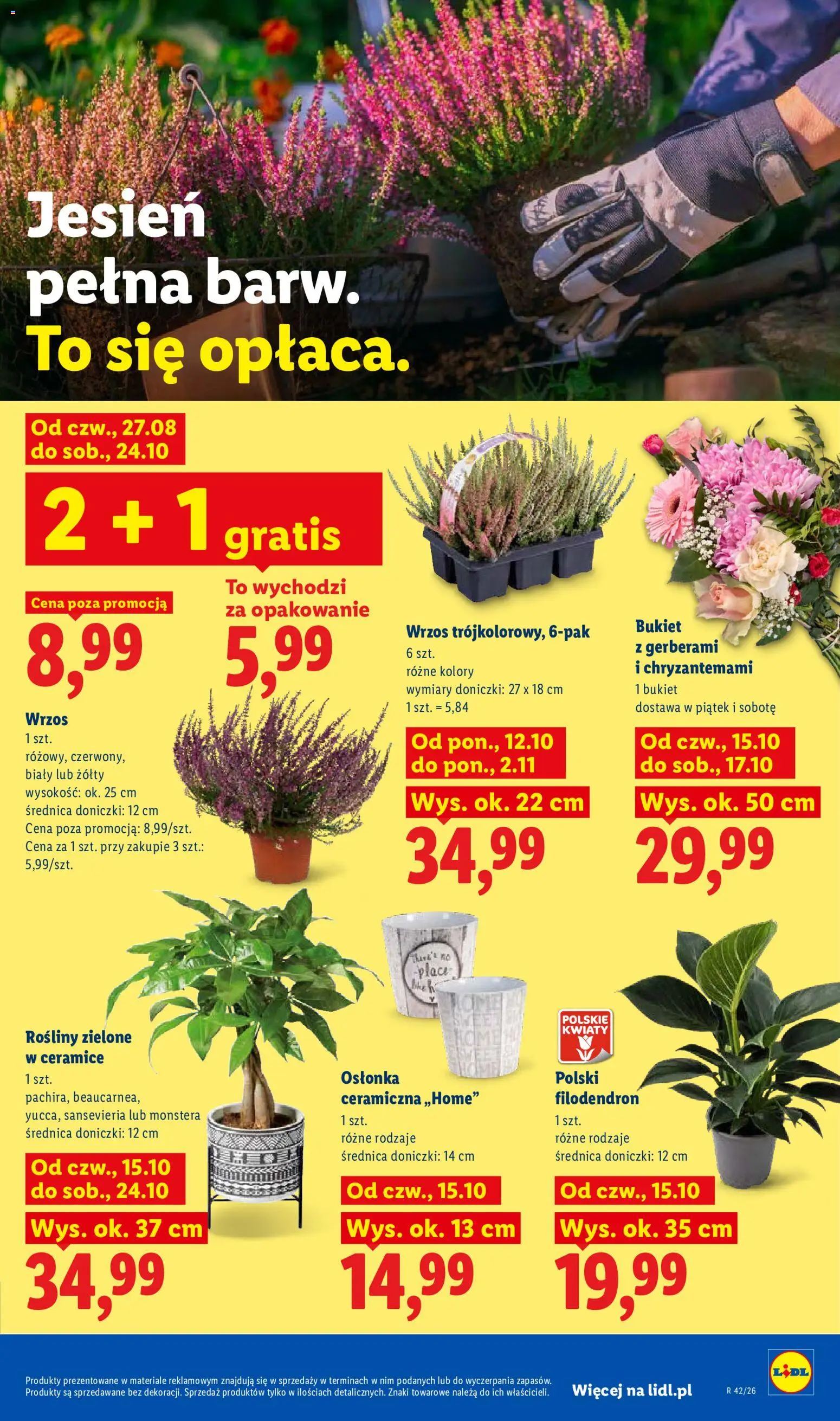 Lidl gazetka od 19.10.2026 | Strona: 105