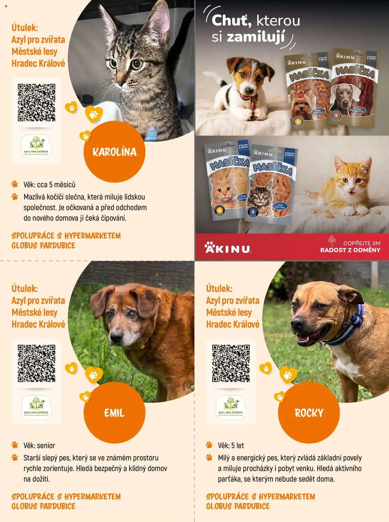 Globus leták - Darujte druhou šanci od 07.09.2026 | Strana: 13 | Produkty: Globus