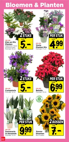 Vomar folder - Voorbeeld van een folder van Vomar, geldig van 21-06-2026 | Pagina: 37 | Producten: Bloemen, Keramiek