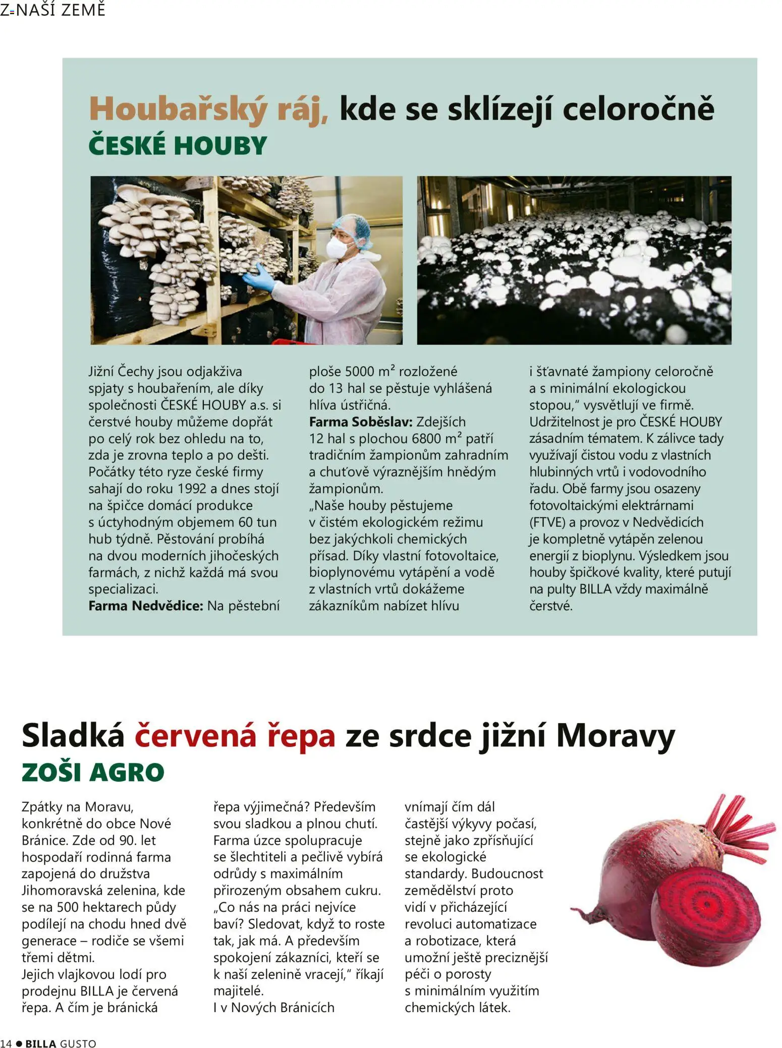 Billa leták - Gusto: Podzim 2026 od 01.09.2026 | Strana: 14 | Produkty: Rýže, Červená řepa, Řepa, Houby