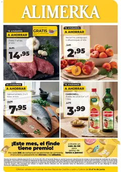 Vista previa Alimerka folleto Castilla y León válido desde el 08.06.2026
