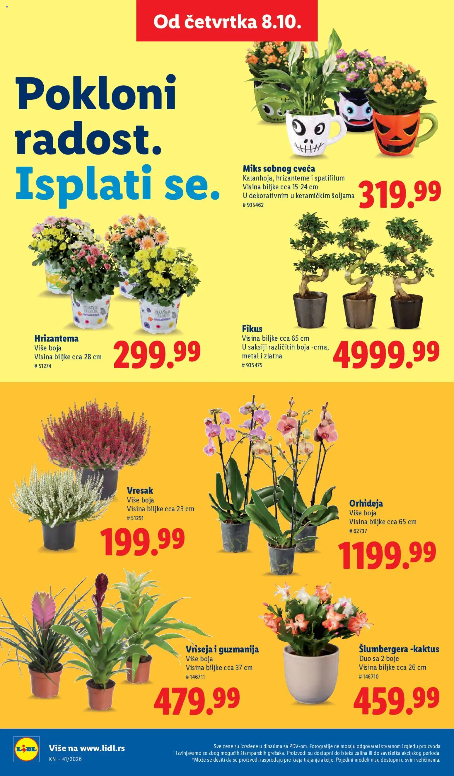 Lidl katalog - važi od 08.10.2026 | Strana: 74