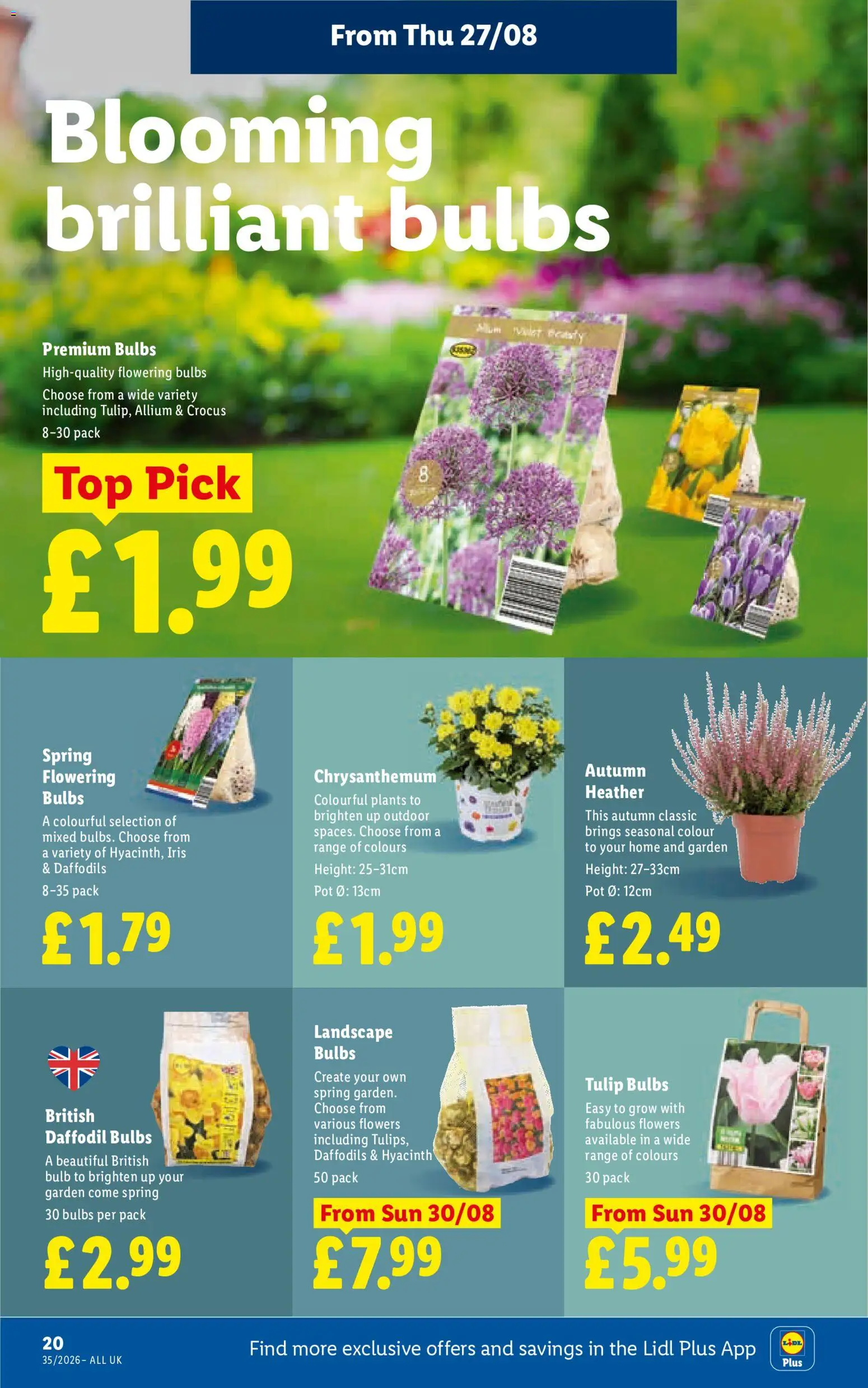 {H1} | Page: 22 | Products: Pot, Flowers, Heather