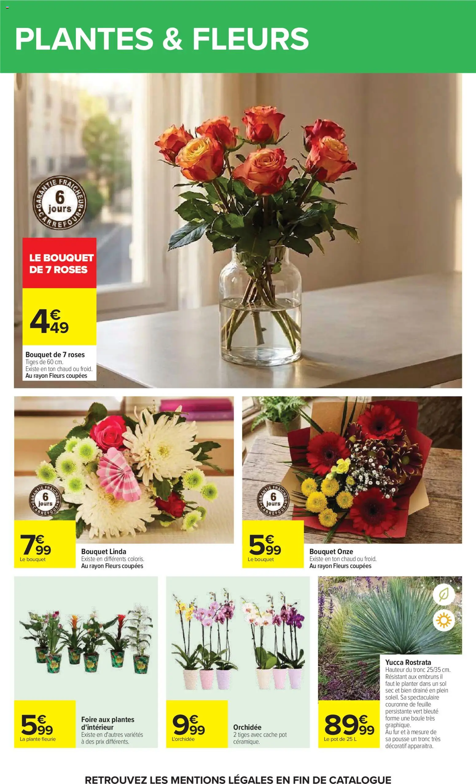 {H1} | Page: 73 | Produits: L'orchidée, Orchidée 2 tiges, Fleurs, Orchidée