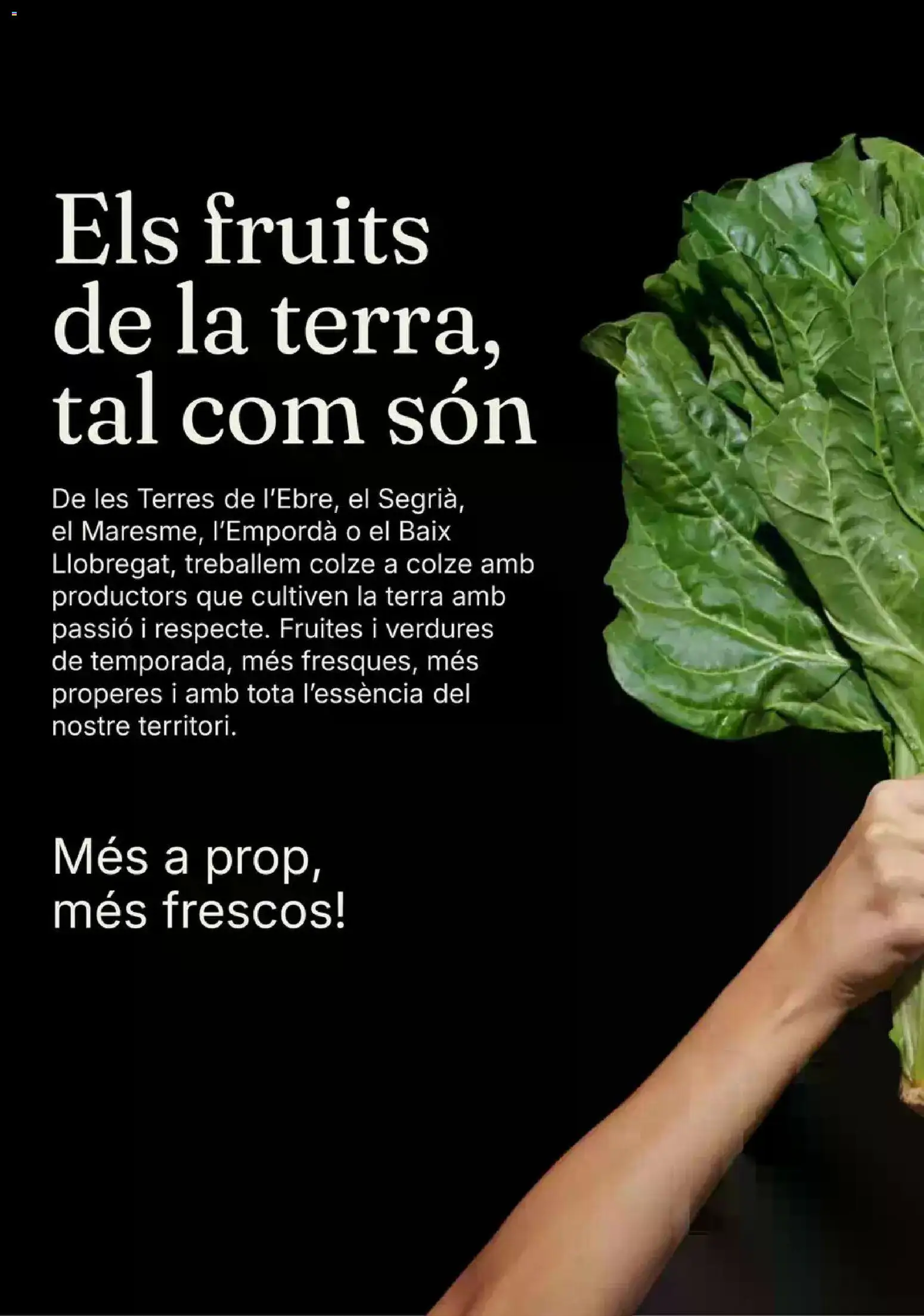 Bonpreu folleto │ válido desde el 15/10/2026 | Página: 5