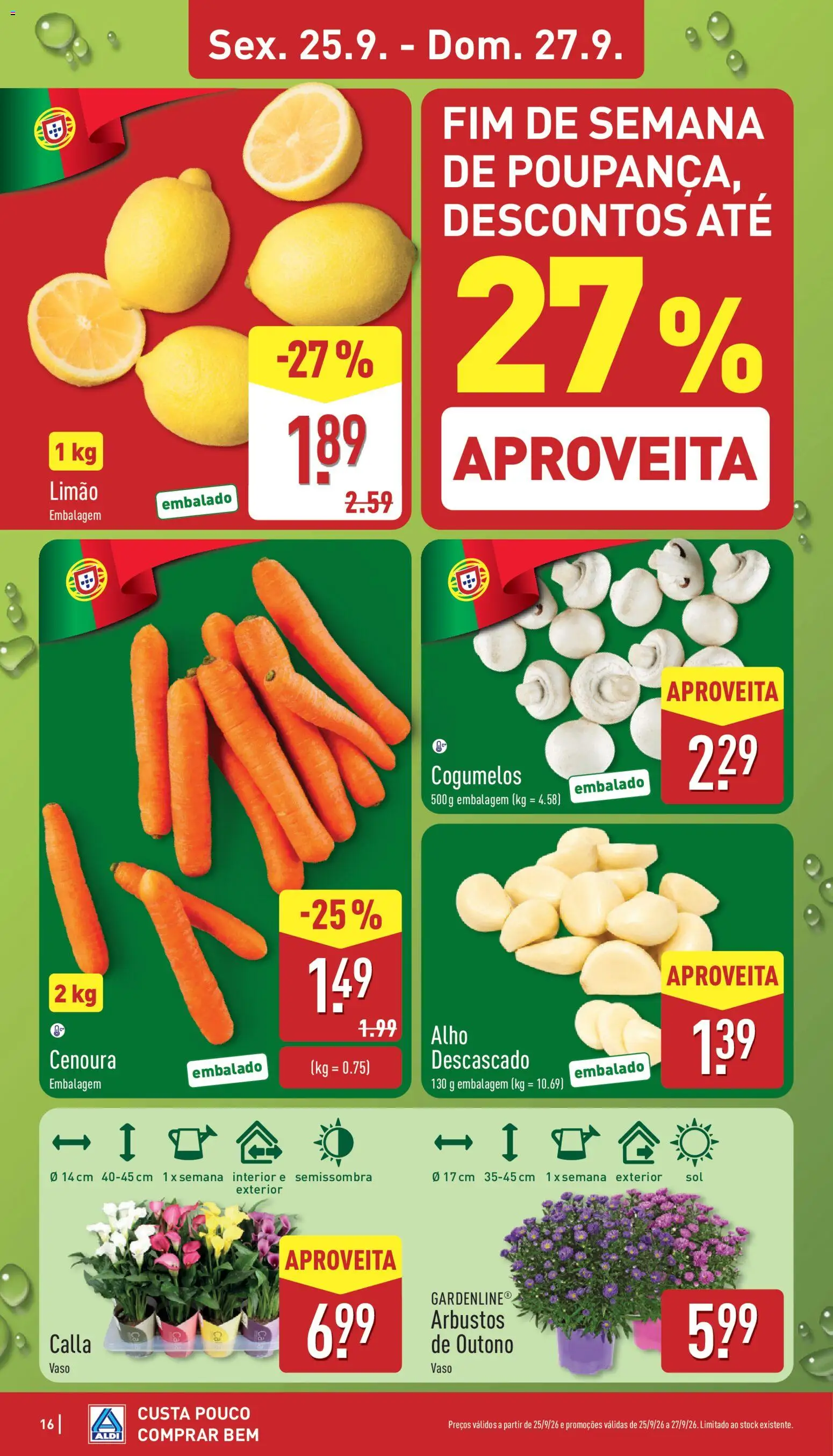 Aldi folheto │ válido de 21/09/2026 | Página: 16