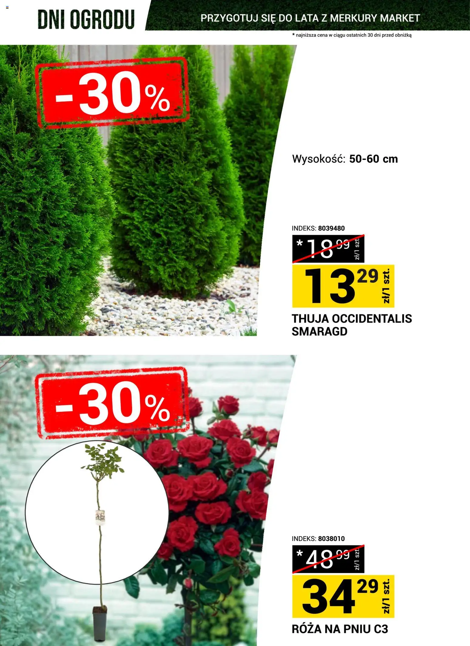 Merkury Market gazetka - Przygotuj się do lata od 23.05.2026 | Strona: 9 | Produkty: Róża na pniu