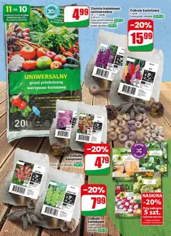 Pogląd oferty "Cebule kwiatowe, 1 opak." - ważna od 29.04.2026 | Strona: 66