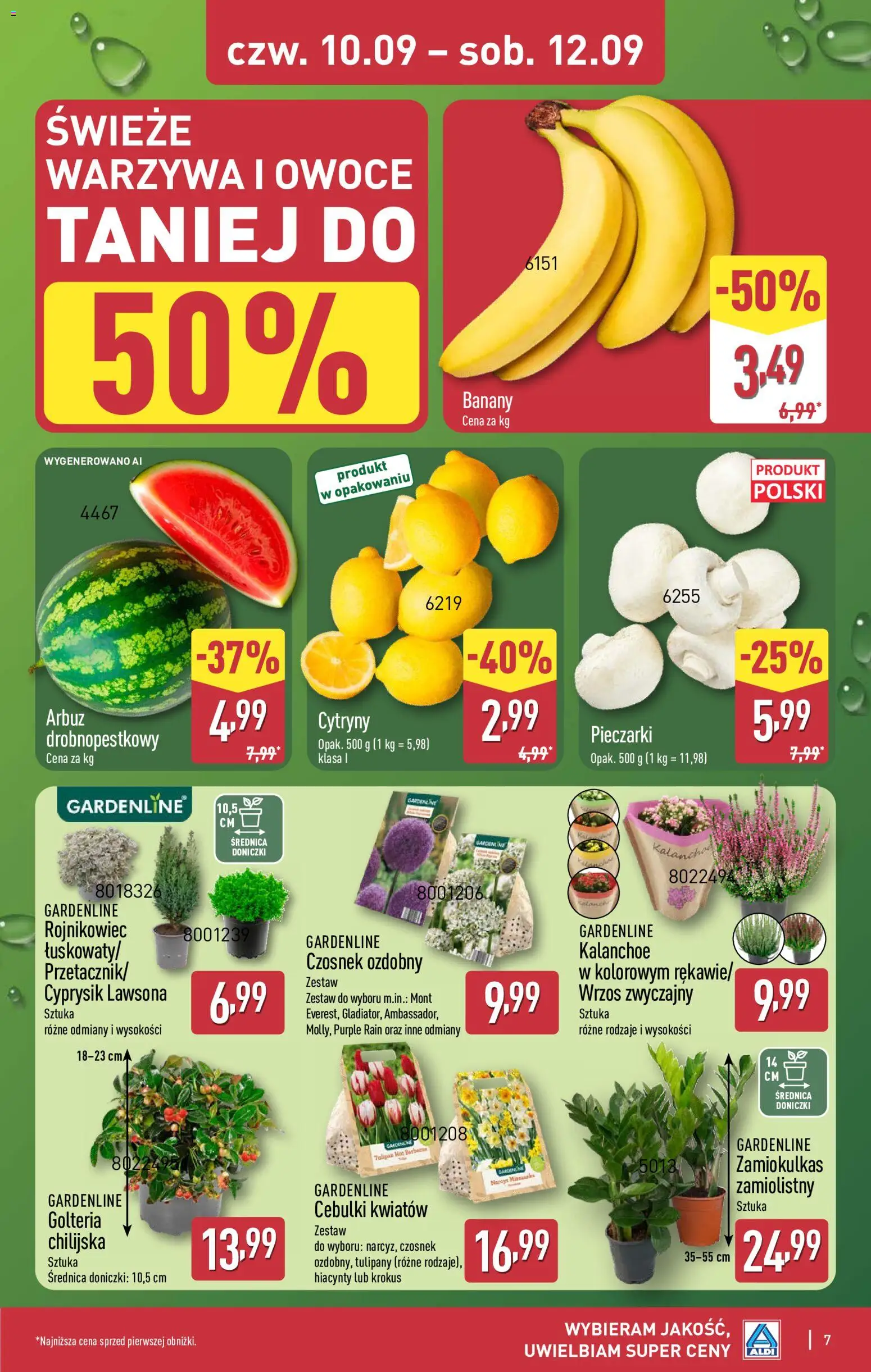 Aldi Polsko leták - Oferta weekendowa od 10.09.2026 | Strana: 7 | Produkty: Kalanchoe, Banány, Tulipány