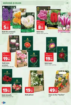 Ofertele Carrefour valabile de la 23.09.2026 | Pagină: 25 | Produse: Pc, Premium, Gradina, Covor