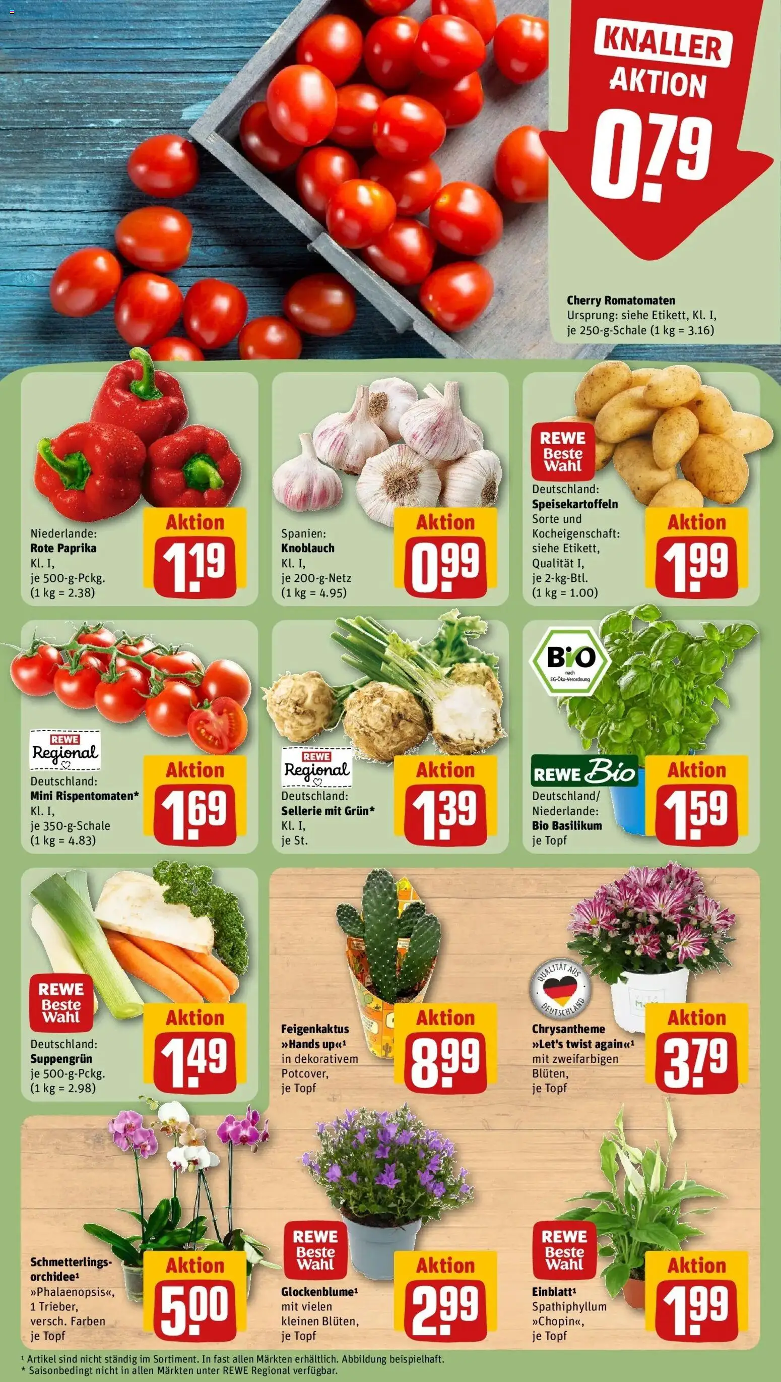 REWE Prospekt ab 10.08.2026 zum Blättern » Angebote | Seite: 5 | Produkte: Paprika, Knoblauch, Rote Paprika