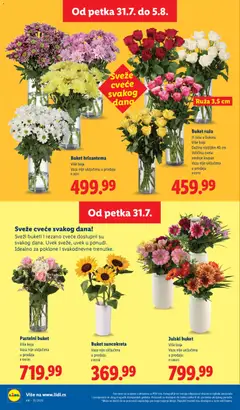 Buket hrizantema, Više boja, Vaza nije uključena u prodaju, # 78211 - pregled Lidl kataloga - važi od 30.07.2026 | Strana: 72