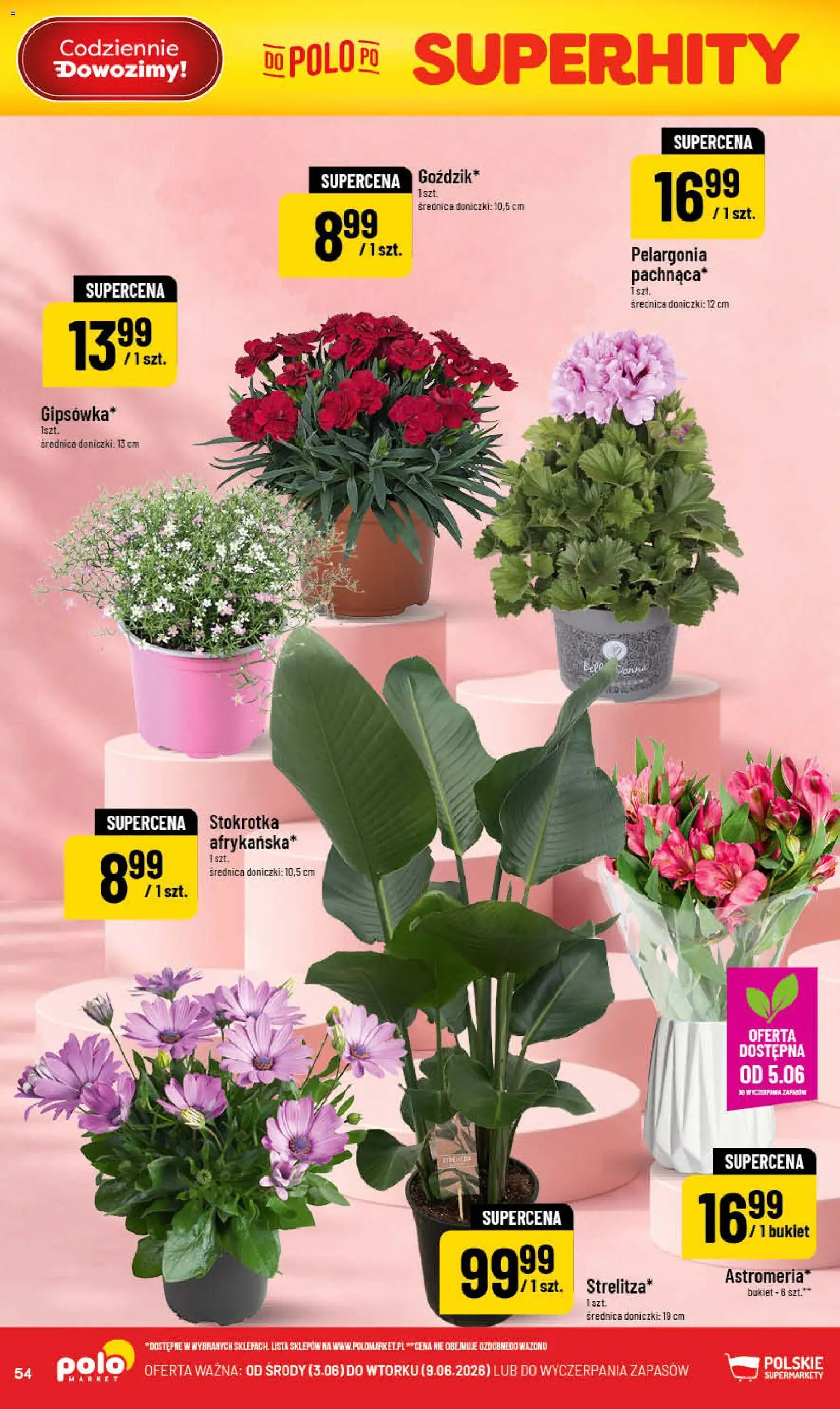 POLOmarket gazetka od 03.06.2026 | Strona: 54