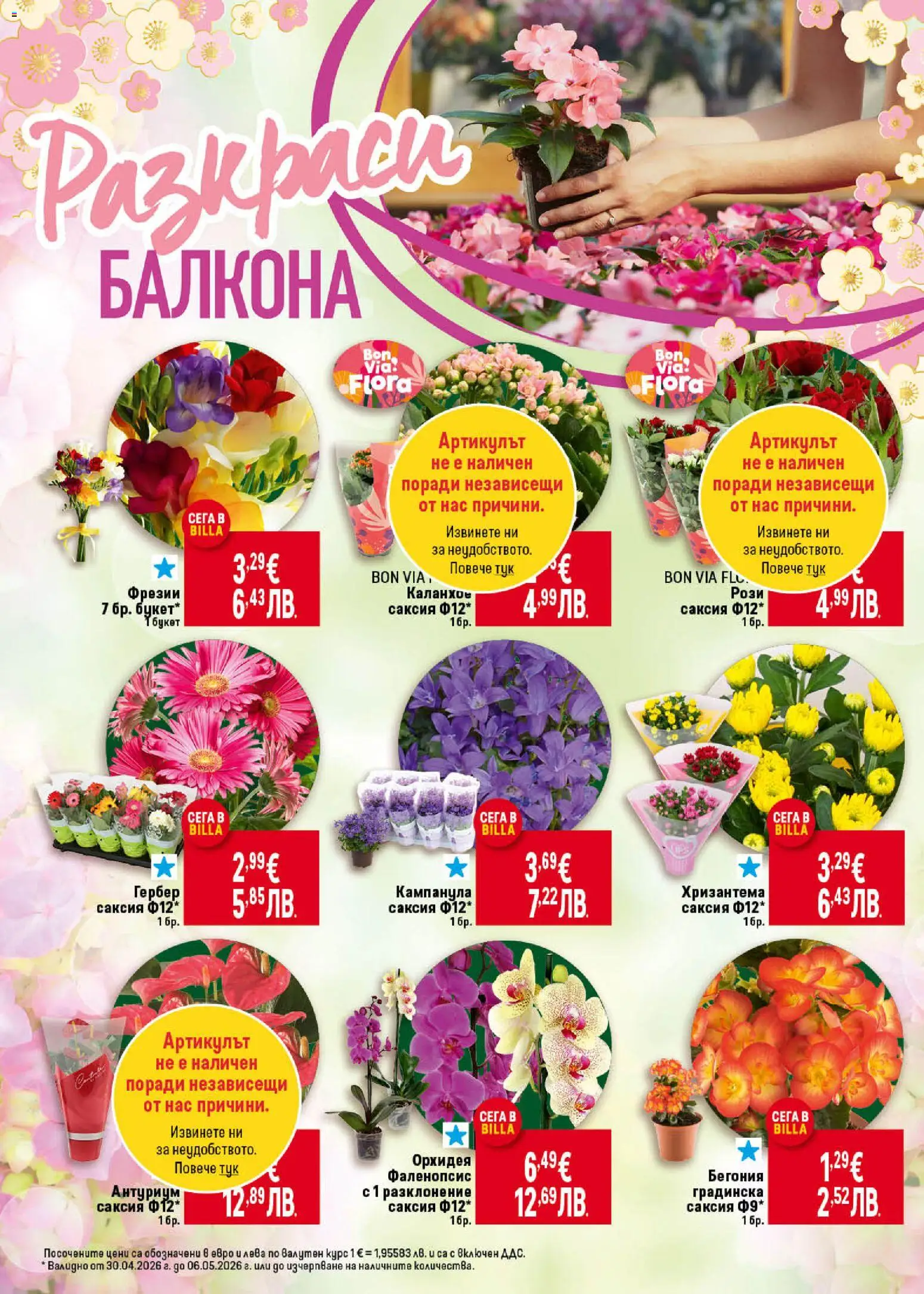 {H1} | Страница: 8 | Продукти: Орхидея, Хризантема, Саксия