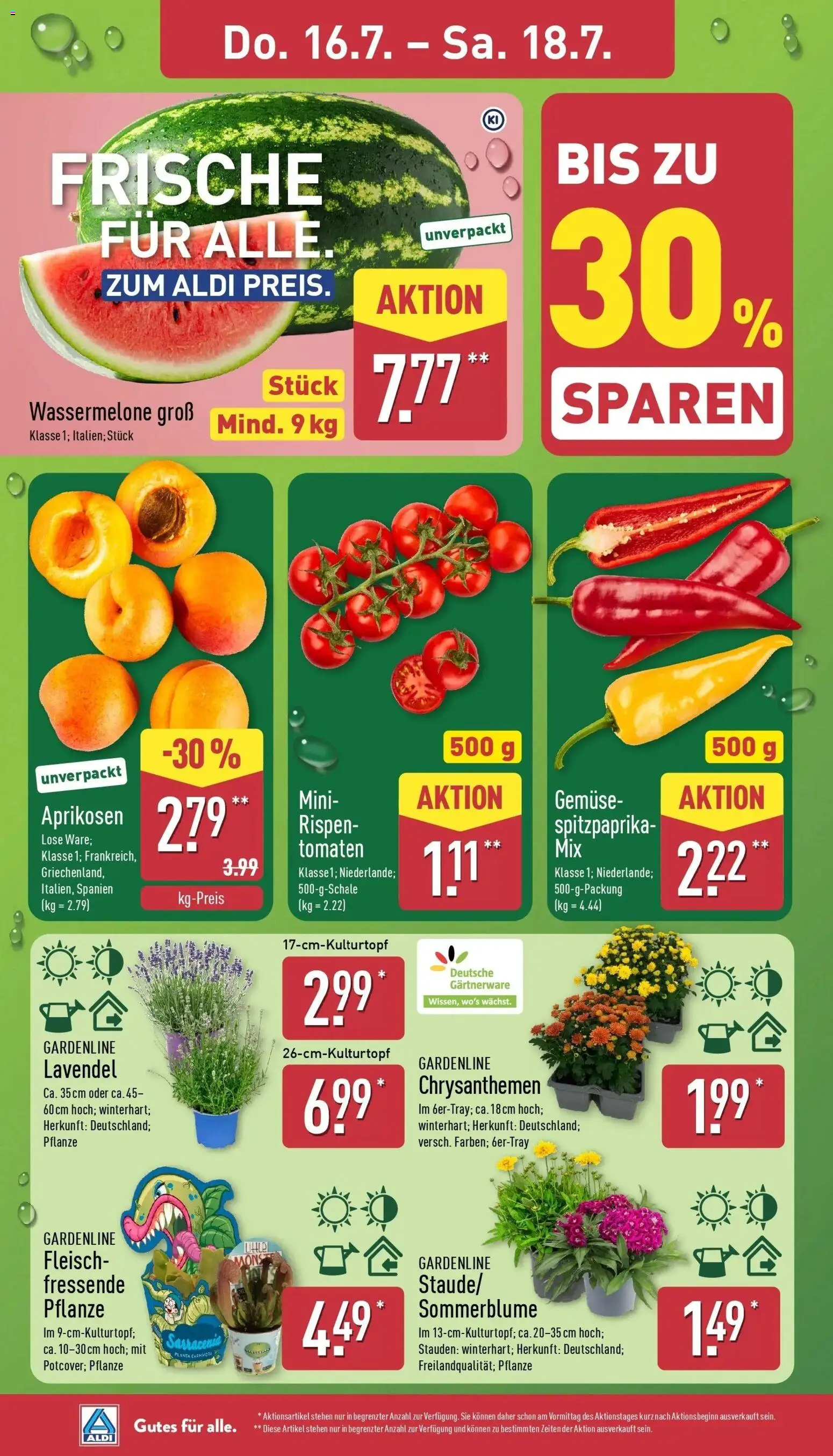 Aldi - ALDI Nord: Wochenangebote – gültig ab 12.07.2026 | Seite: 26 | Produkte: Tomaten, Wassermelone, Lavendel, Fleisch