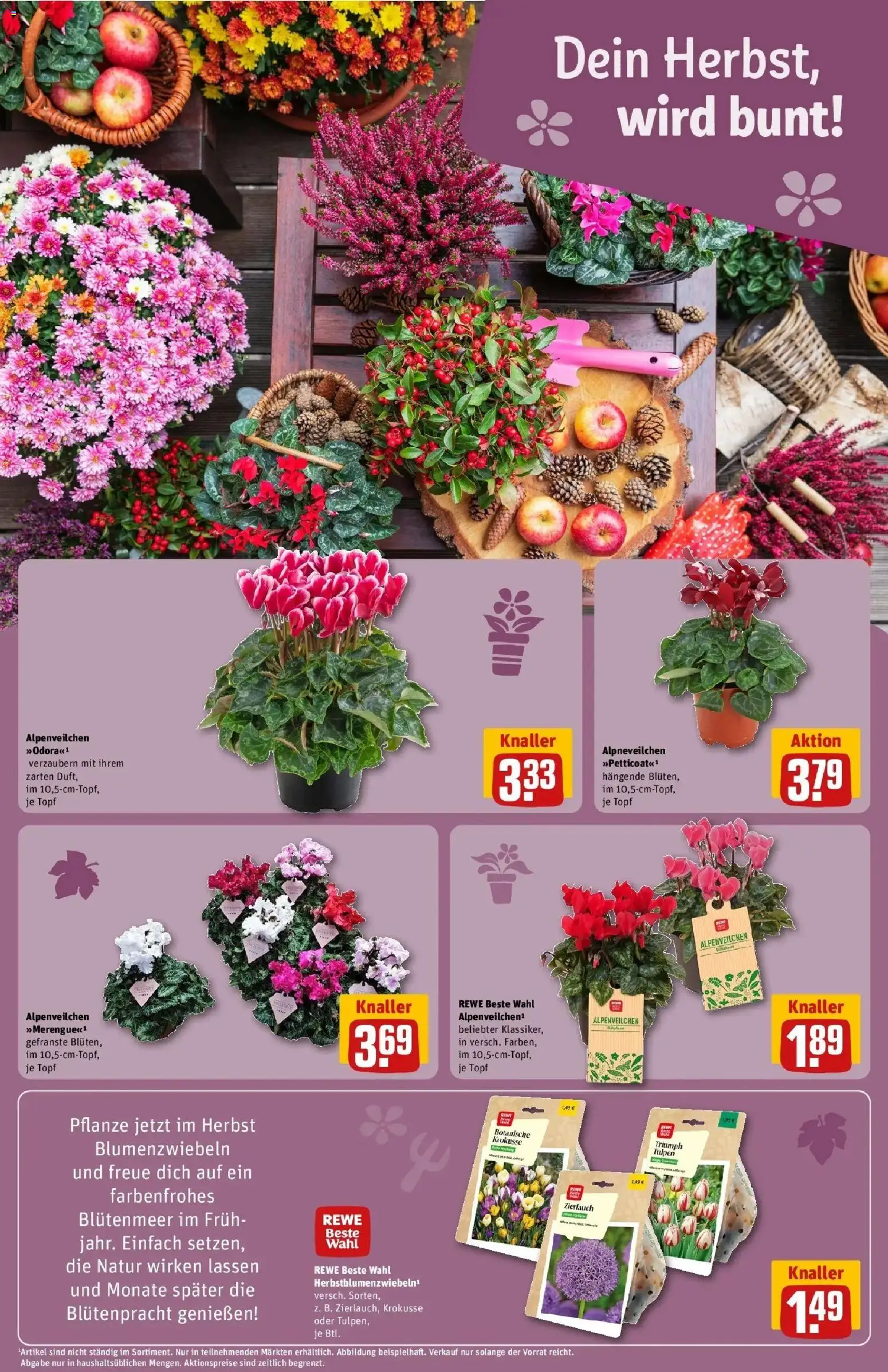 REWE Prospekt ab 28.09.2026 zum Blättern » Angebote | Seite: 15
