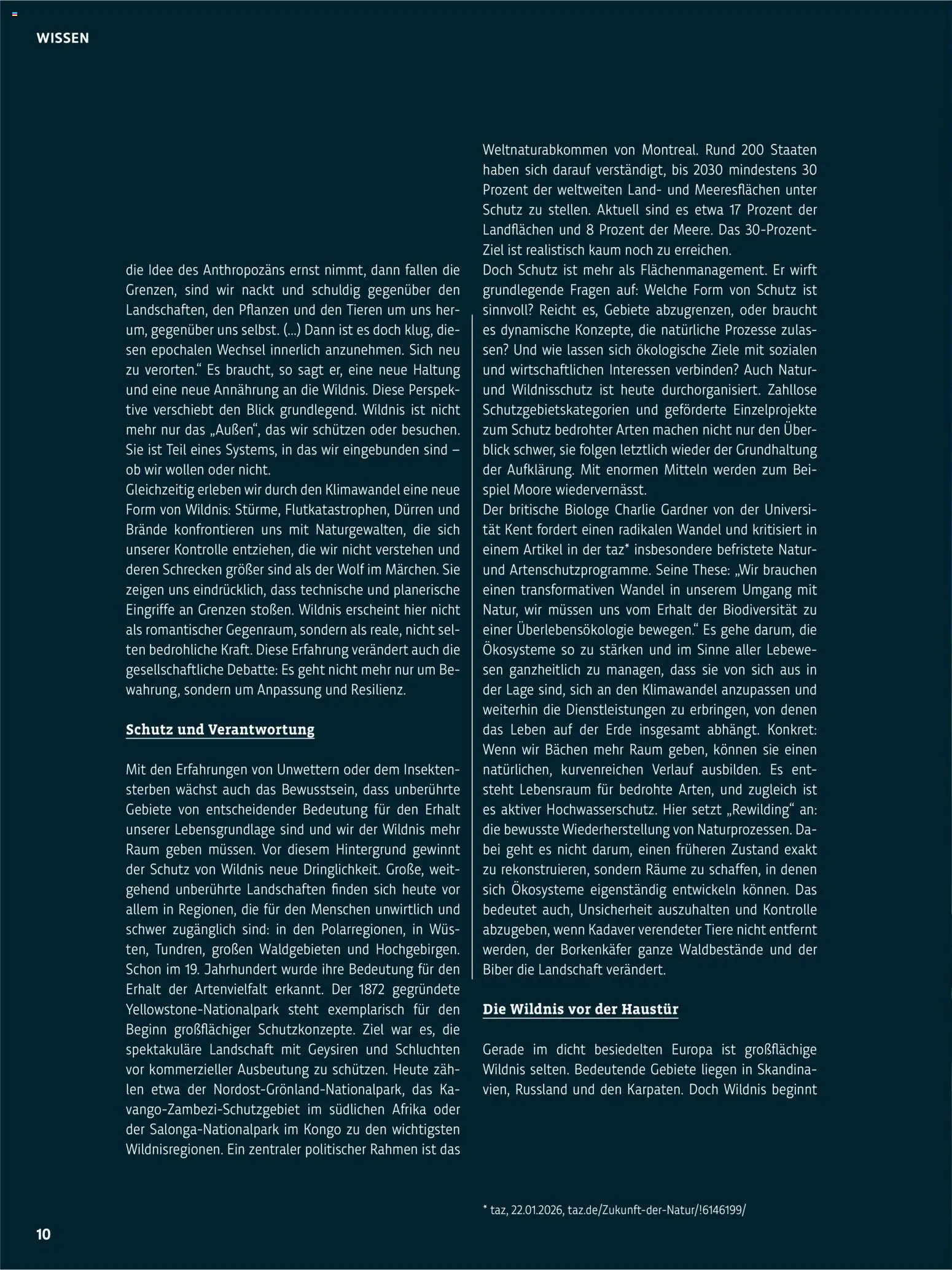 Denns BioMarkt Kreo Magazin – gültig ab 17.07.2026 | Seite: 10 | Produkte: Spiel