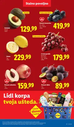 Limun, 1 kg - pregled Lidl kataloga - važi od 03.09.2026 | Strana: 51