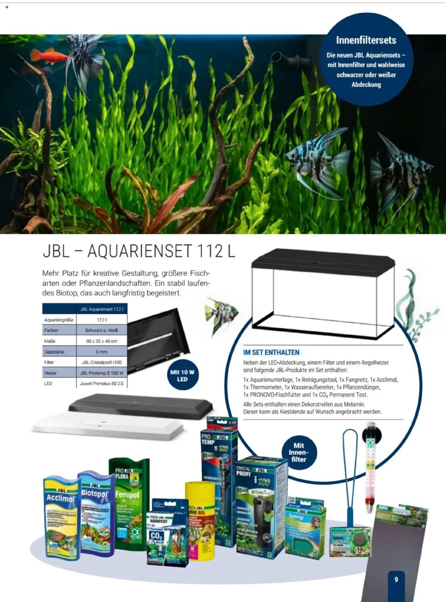 zookauf Themenkatalog Aqua – gültig ab 01.10.2026 | Seite: 9 | Produkte: Fisch
