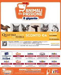 Anteprima del volantino Il Gigante volantino Animali valido a partire dal 10/09/2026 | Pagina: 8 | Prodotti: Balsamo, Tenda, PC