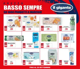 Anteprima del volantino Il Gigante volantino Prezzo Basso Sempre valido a partire dal 16/07/2026 | Pagina: 5
