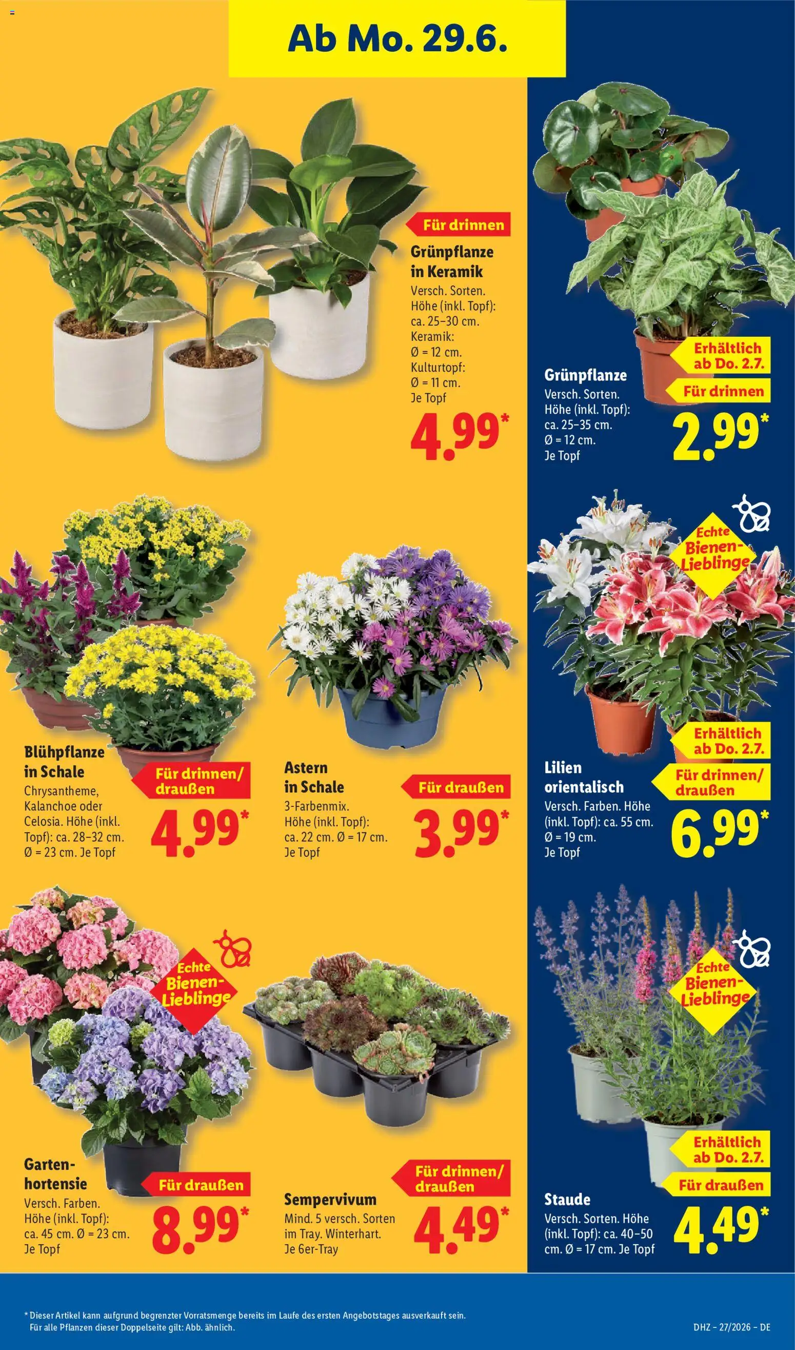 Lidl Německo leták od 29.06.2026 | Strana: 35