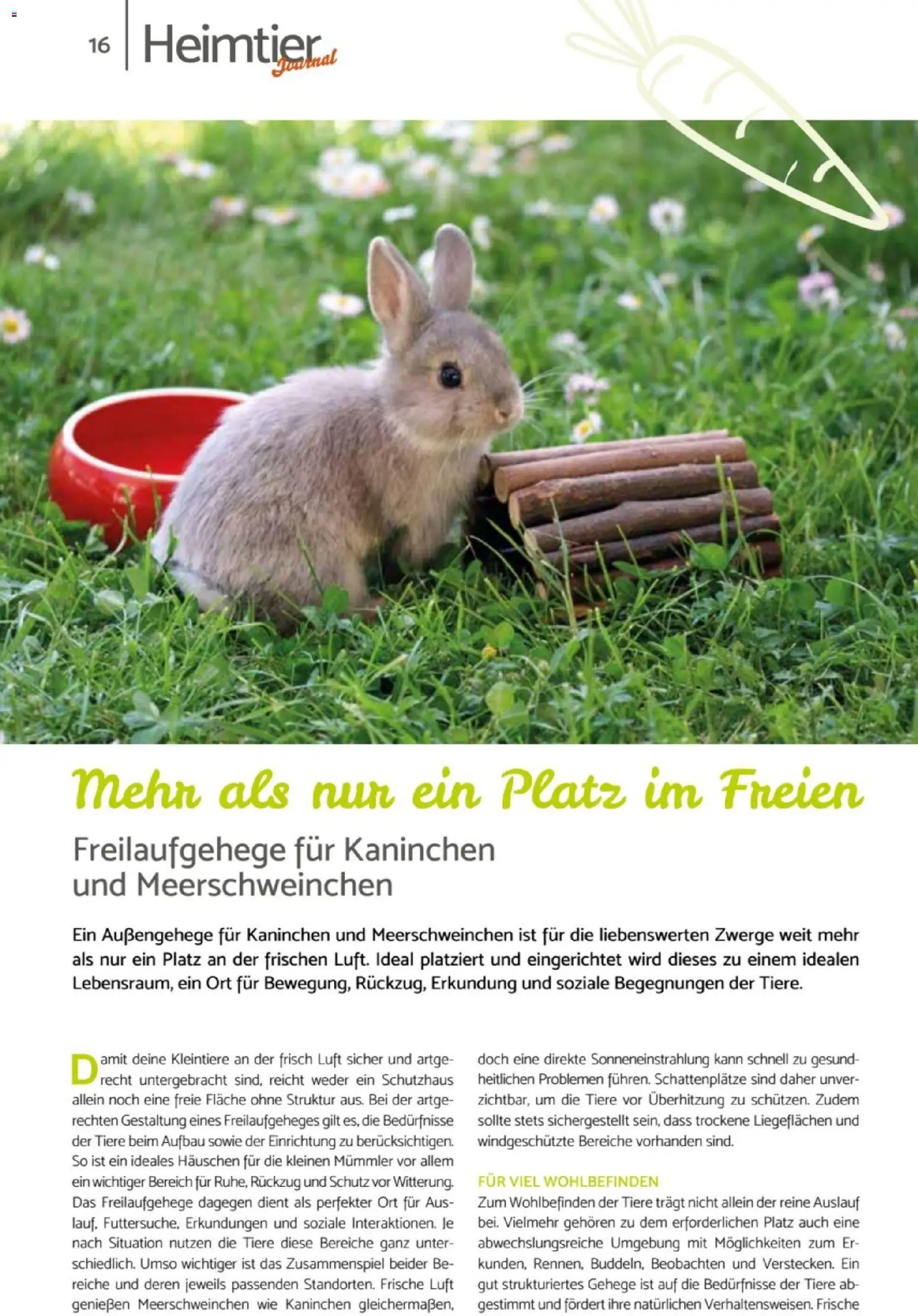 zookauf Heimtier Journal – gültig ab 01.07.2026 | Seite: 16 | Produkte: Kaninchen