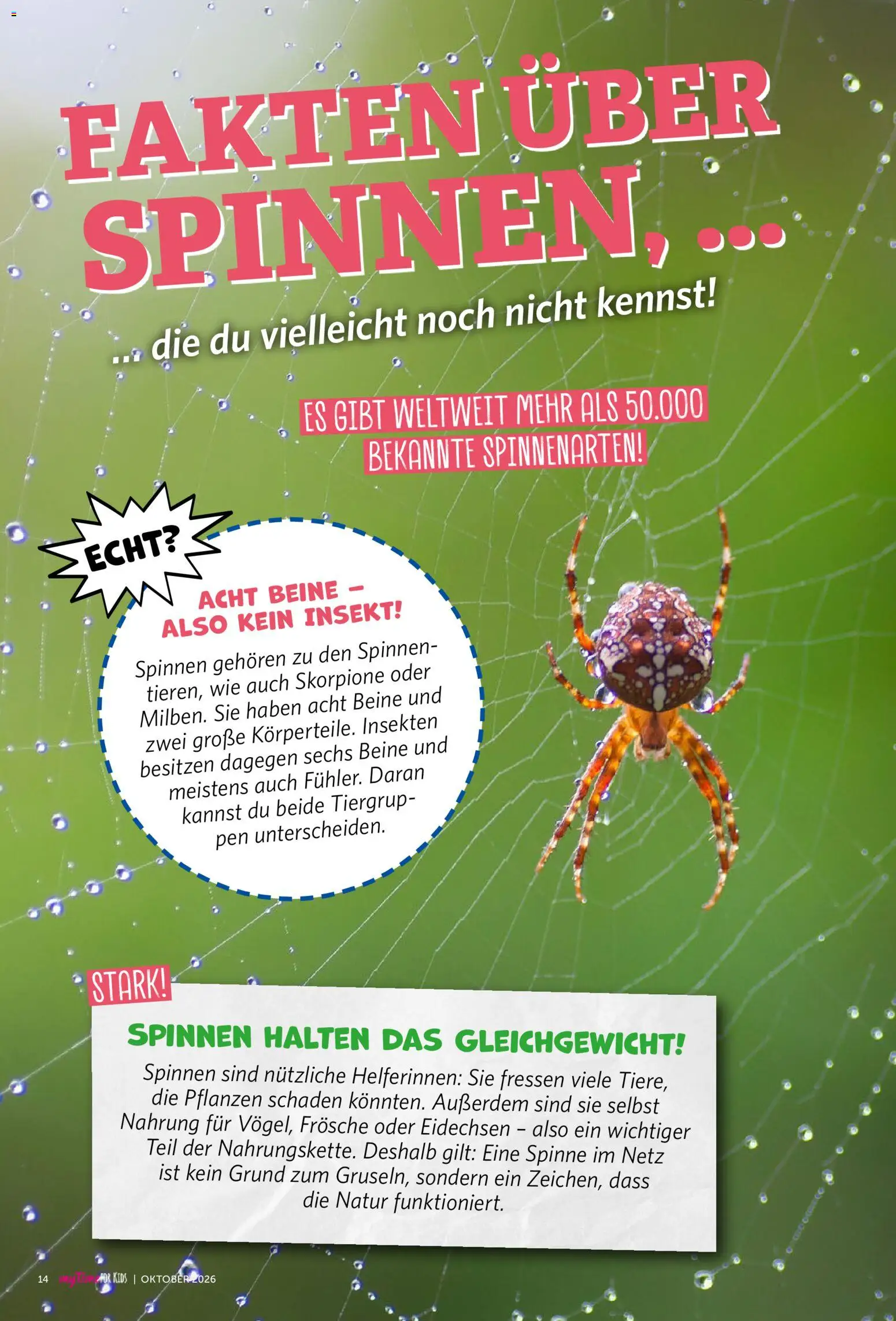 Combi myTime Oktober 2026 – gültig ab 01.10.2026 | Seite: 93
