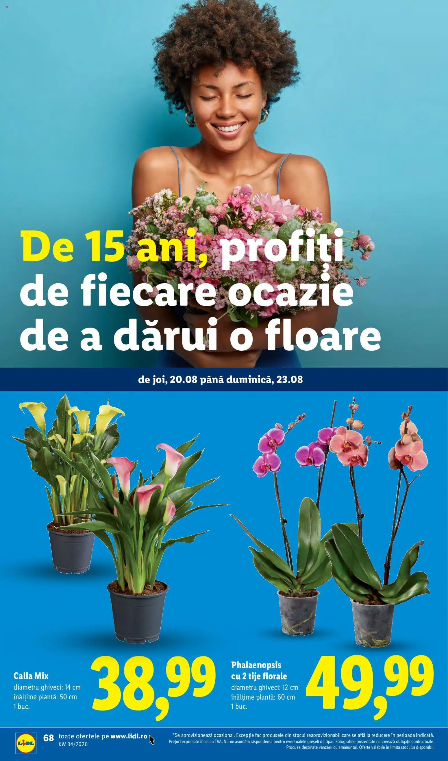 Noul catalog Lidl – valabil de la 17.08.2026 | Pagină: 68 | Produse: Ghiveci