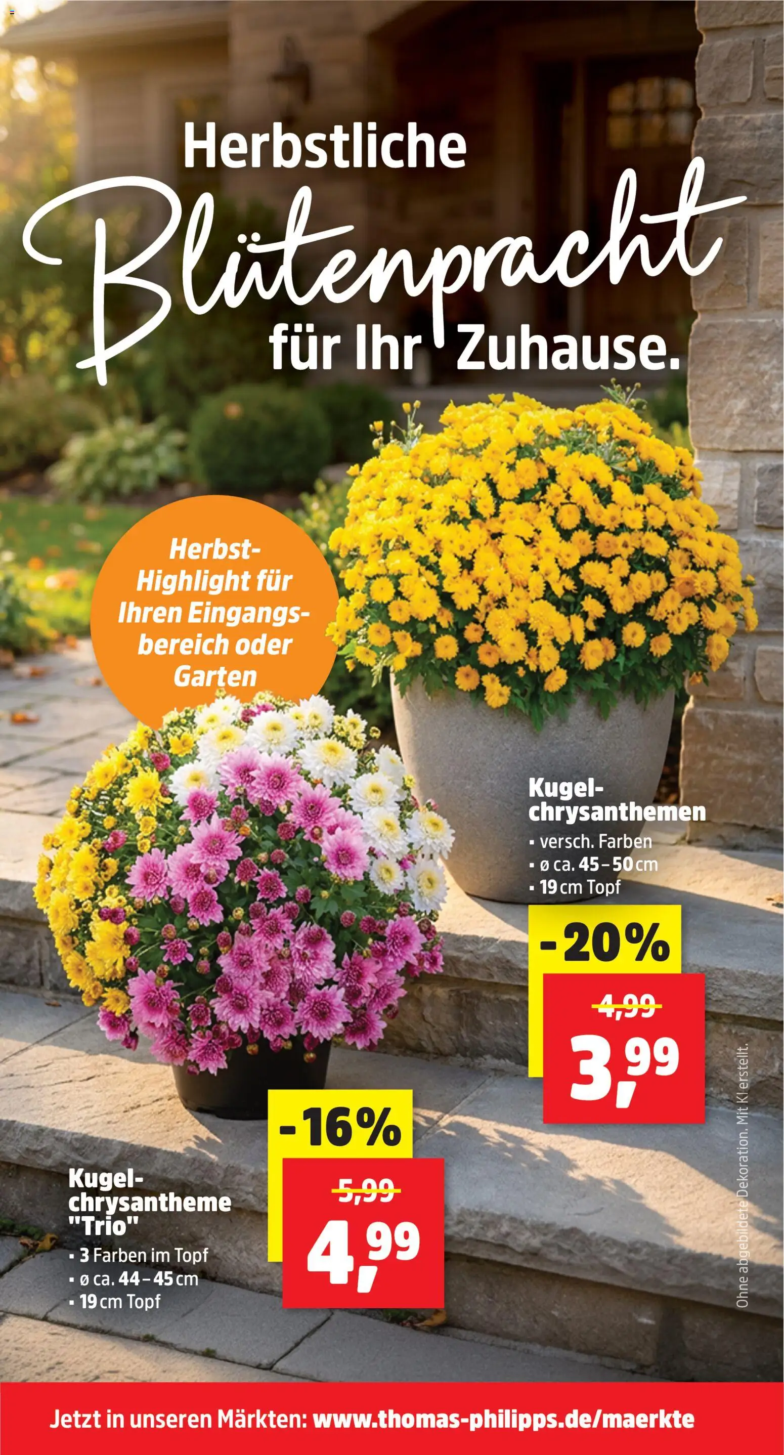 Thomas Philipps Prospekt – gültig ab 07.09.2026 | Seite: 3