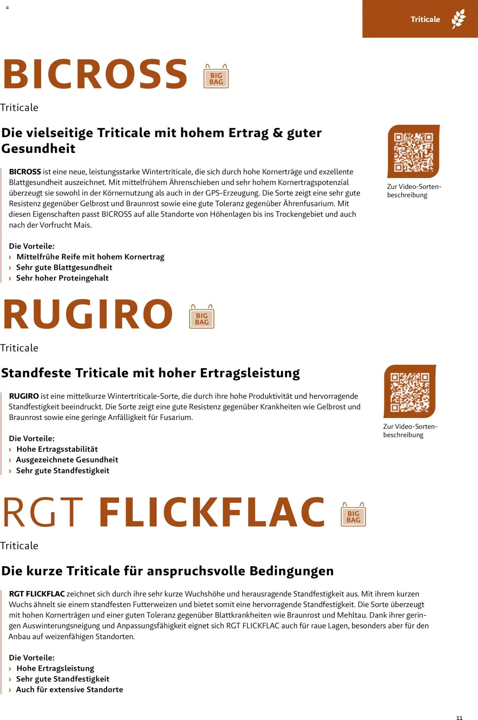 Lagerhaus Fachblatt Saatgut Herbst gültig ab 22.07.2026 | Seite: 11