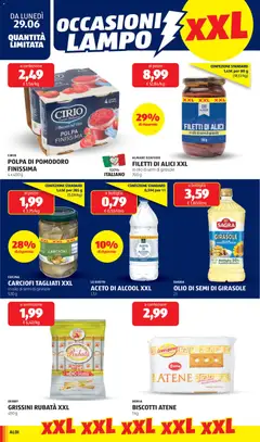 Anteprima del volantino CARCIOFI TAGLIATI XXL, in olio di semi di girasole 530 g valido a partire dal 29/06/2026 | Pagina: 14
