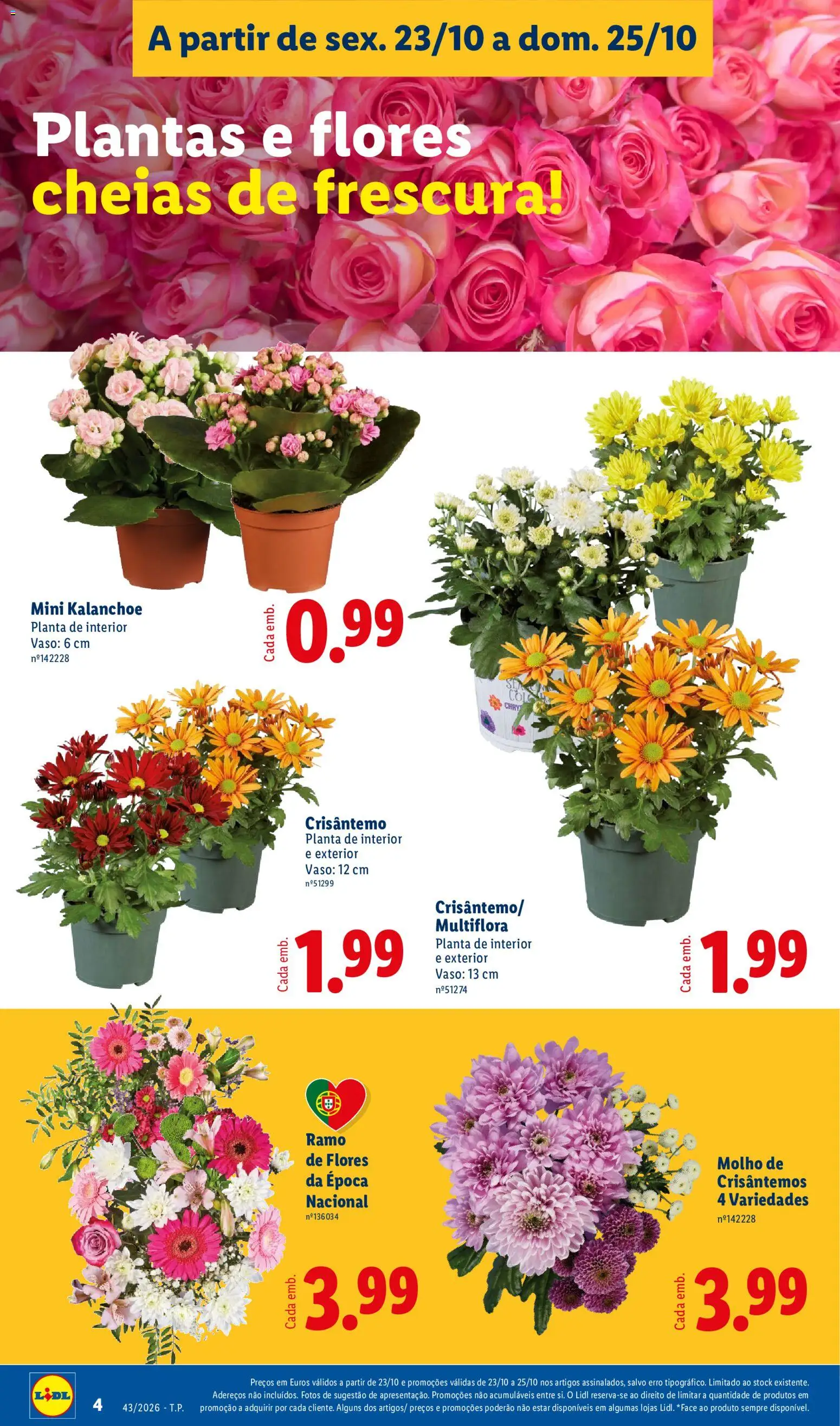 Lidl Promoções Fim de Semana │ válido de 23/10/2026 | Página: 4 | Produtos: Flores, Vaso
