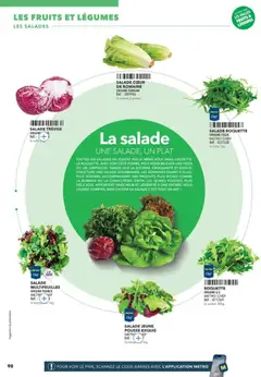 METRO - Prévisualisation de METRO - Guide Italie valide à partir de 28/05/2026 | Page: 98 | Produits: Salade, Fruits, Roquette, Burrata