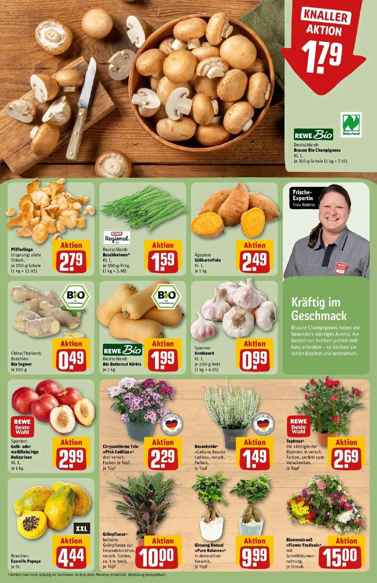 REWE Prospekt ab 31.08.2026 zum Blättern » Angebote | Seite: 7 | Produkte: Blumen, Champignons, Knoblauch, Kürbis