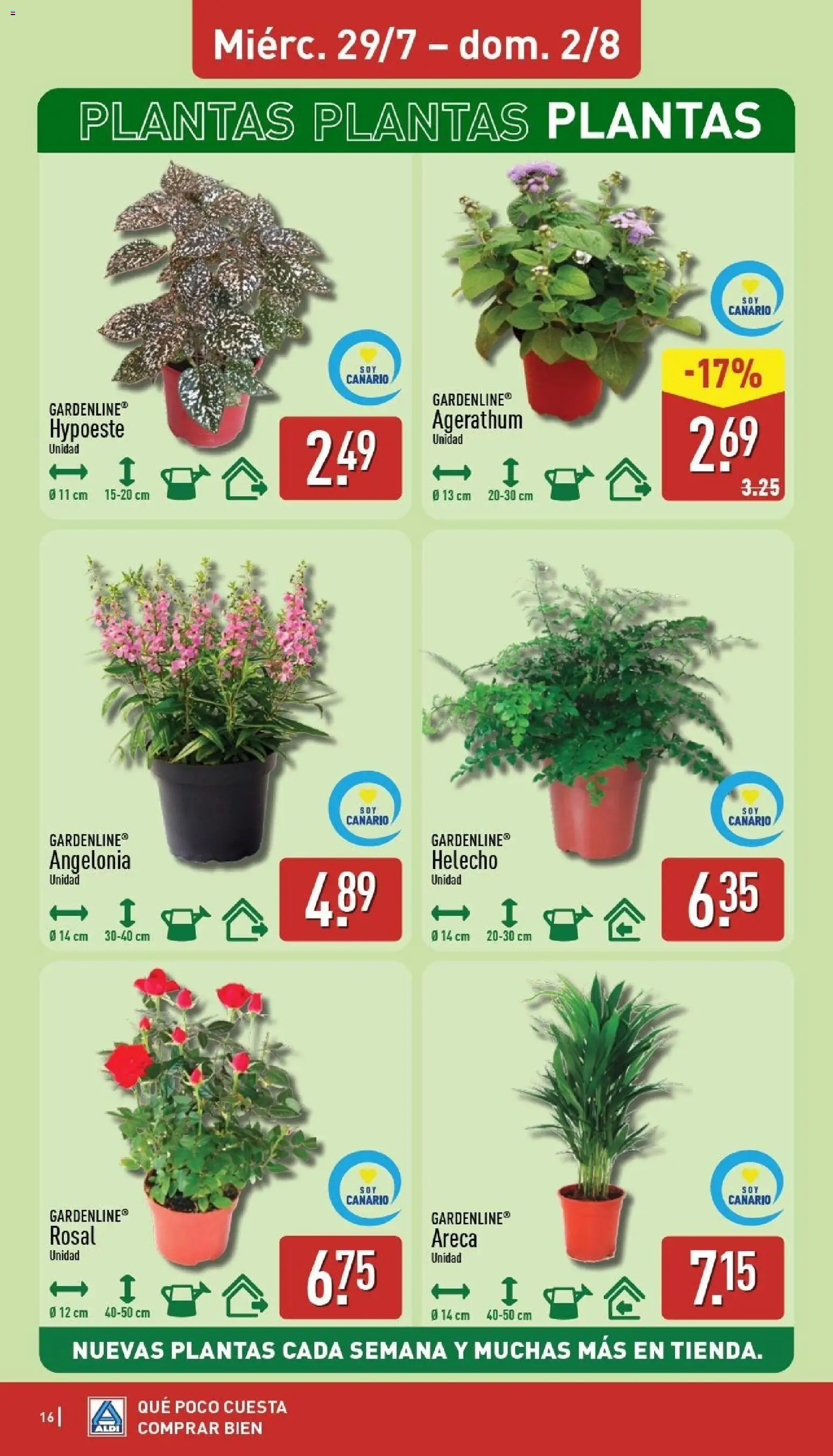 Aldi folleto Canarias │ válido desde el 27/07/2026 | Página: 16 | Productos: Maceta