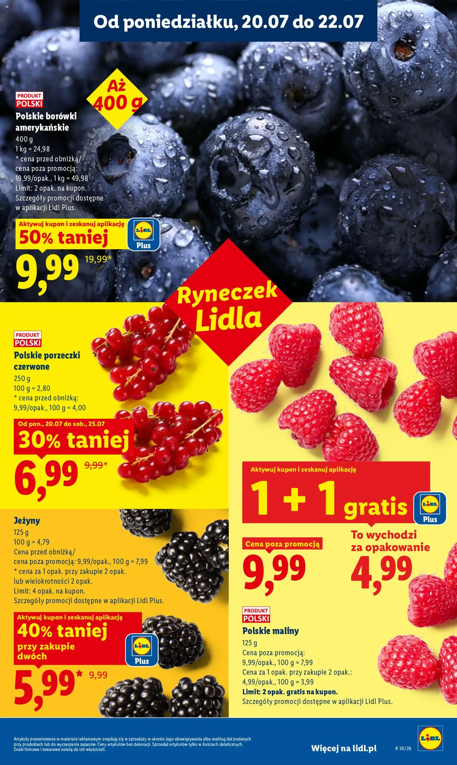 Lidl gazetka od 20.07.2026 | Strona: 49 | Produkty: Borówki, Maliny, Jeżyny