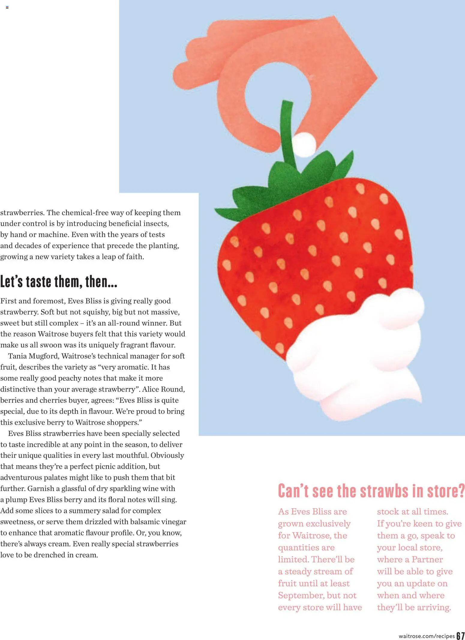 {H1} | Page: 67 | Products: Fruit, Strawberries, Salad, Vinegar